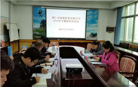 公司党支部召开2016年度专题组织生活会
