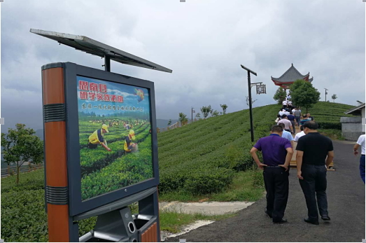 集团公司董事长张凯参加 2017年全市第一次项目建设现场观摩会