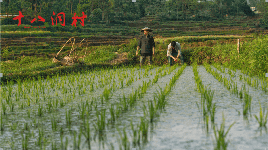 能投公司组织党员领导干部观影《十八洞村》