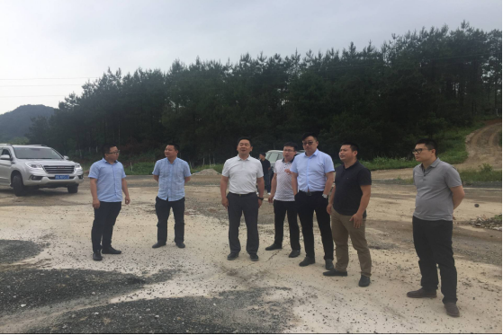 湖南省天然气管网有限公司陈景鸿董事长 一行来我市商洽天然气管网建设合作事宜