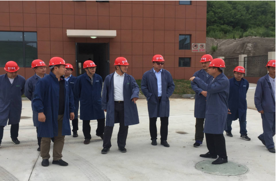 湖南省天然气管网有限公司陈景鸿董事长 一行来我市商洽天然气管网建设合作事宜