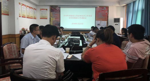 市能投公司组织召开实体经济三年攻坚及项目推进工作调度会