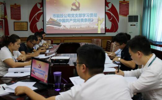 市能投公司党支部组织党员干部学习贯彻《中国共产党问责条例》