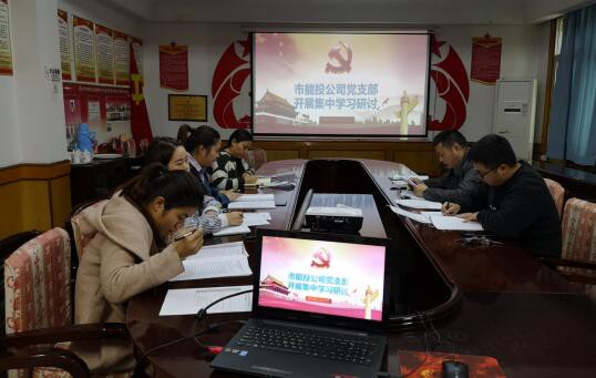 市能投公司党支部开展第三次主题教育集中学习研讨会