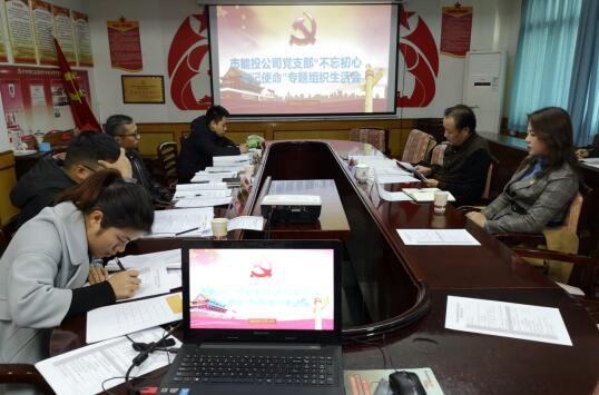 市能投公司党支部召开“不忘初心、牢记使命”主题教育专题组织生活会及民主评议党员工作会议