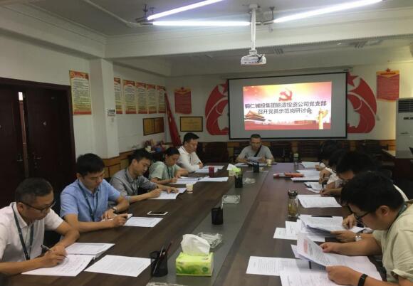 铜仁城投集团能源投资公司党支部召开党员示范岗研讨会