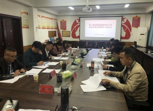 铜仁城投集团能源投资公司组织召开转型发展改革领导小组会议