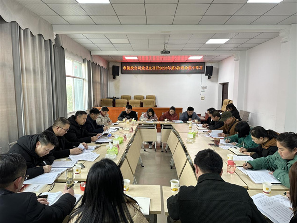 市能投公司党总支召开2023年下半年意识形态、党风廉政建设和反腐败工作专题研讨暨2024年元旦、春节节前集中提醒约谈会