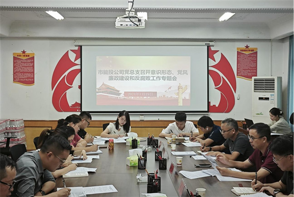 铜仁城交集团能源投资公司党总支召开2024年上半年意识形态、党风廉政建设和反腐败工作专题会
