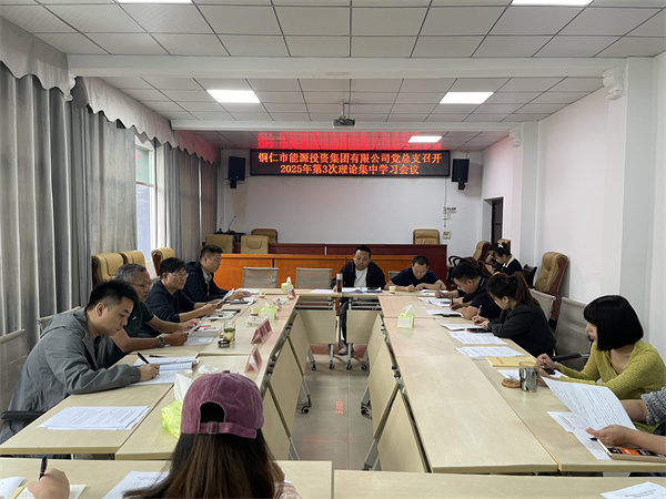 铜仁城交集团能源投资公司党总支召开2025年第3次理论集中学习会议
