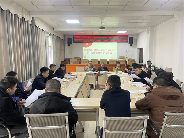 铜仁城交集团能源投资公司党总支召开理论集中学习会