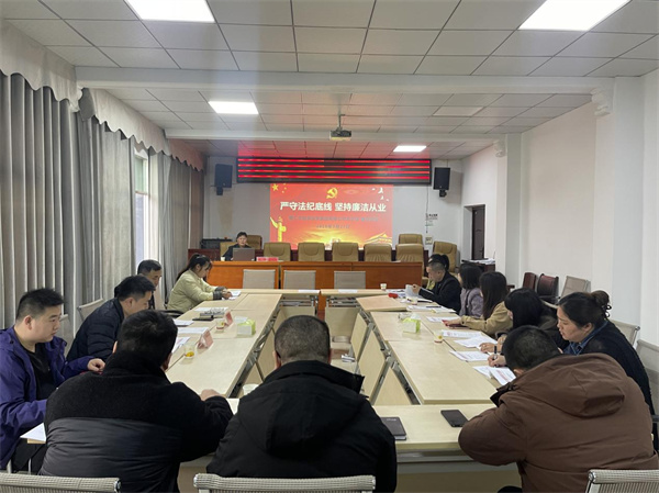 铜仁城交集团能投公司党支部书记上廉政专题党课