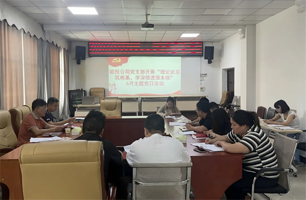 铜仁城交集团能投公司党支部开展“理论武装筑根基，学深悟透强本领”6月主题党日活动